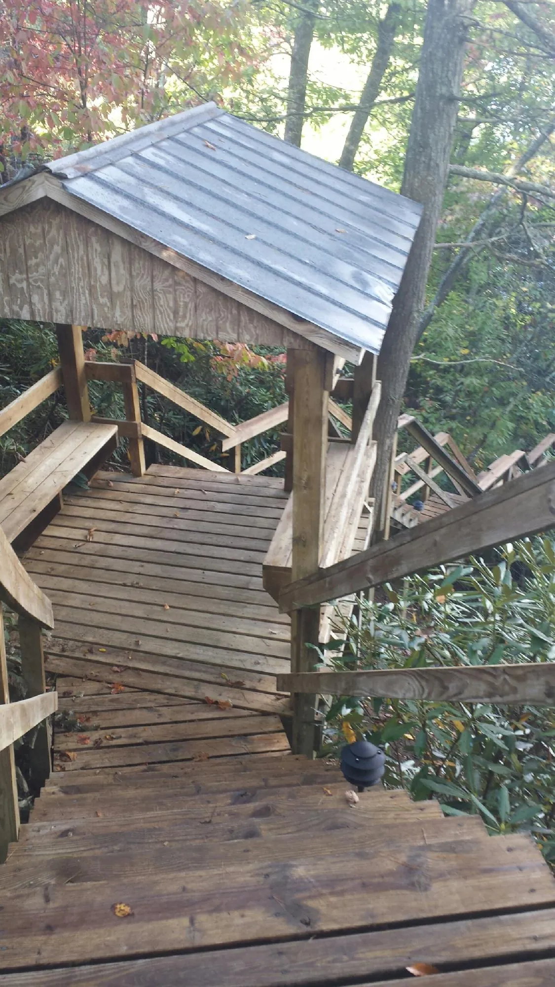 Metal roofed shelter over wooden steps on a wooded walkway — Skylight Repair & Installation work by our crew in Clio